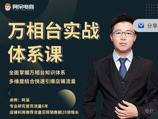 阿呆-万相台实战体系课，帮您全面掌握万相台知识体系去创吧-网创项目资源站-副业项目-创业项目-搞钱项目黑蛋搞钱