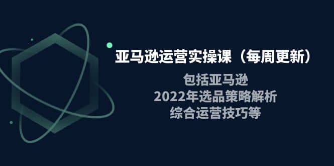 亚马逊运营实操课（每周更新）包括亚马逊2022选品策略解析，综合运营技巧等去创吧-网创项目资源站-副业项目-创业项目-搞钱项目黑蛋搞钱