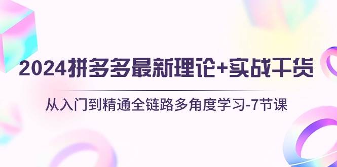 2024拼多多 最新理论+实战干货，从入门到精通全链路多角度学习-7节课去创吧-网创项目资源站-副业项目-创业项目-搞钱项目黑蛋搞钱