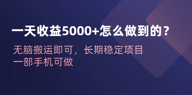 一天收益5000+怎么做到的？无脑搬运即可，长期稳定项目，一部手机可做去创吧-网创项目资源站-副业项目-创业项目-搞钱项目黑蛋搞钱