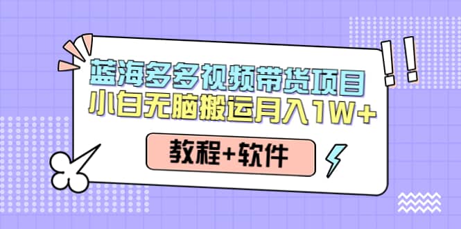 人人都能操作的蓝海多多视频带货项目 小白无脑搬运（教程+软件）去创吧-网创项目资源站-副业项目-创业项目-搞钱项目黑蛋搞钱