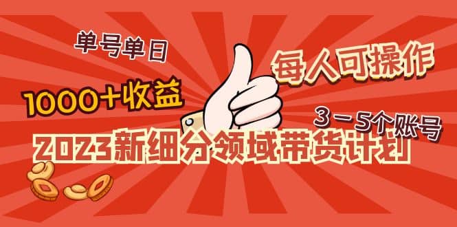 2023新细分领域带货计划：单号单日1000+收益不难，每人可操作3-5个账号去创吧-网创项目资源站-副业项目-创业项目-搞钱项目黑蛋搞钱