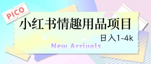 最新小红书情趣用品项目，日入1-4k去创吧-网创项目资源站-副业项目-创业项目-搞钱项目黑蛋搞钱