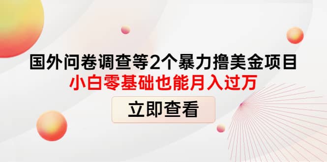 国外问卷调查等2个暴力撸美元项目，小白零基础也能月入过万去创吧-网创项目资源站-副业项目-创业项目-搞钱项目黑蛋搞钱