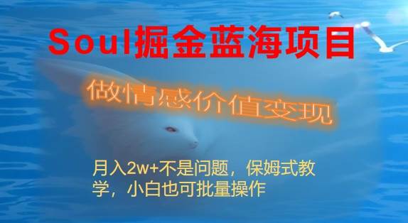 Soul掘金蓝海项目细分赛道，做情感价值变现，月入2w+不是问题去创吧-网创项目资源站-副业项目-创业项目-搞钱项目黑蛋搞钱