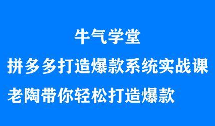 牛气学堂拼多多打造爆款系统实战课，老陶带你轻松打造爆款去创吧-网创项目资源站-副业项目-创业项目-搞钱项目黑蛋搞钱
