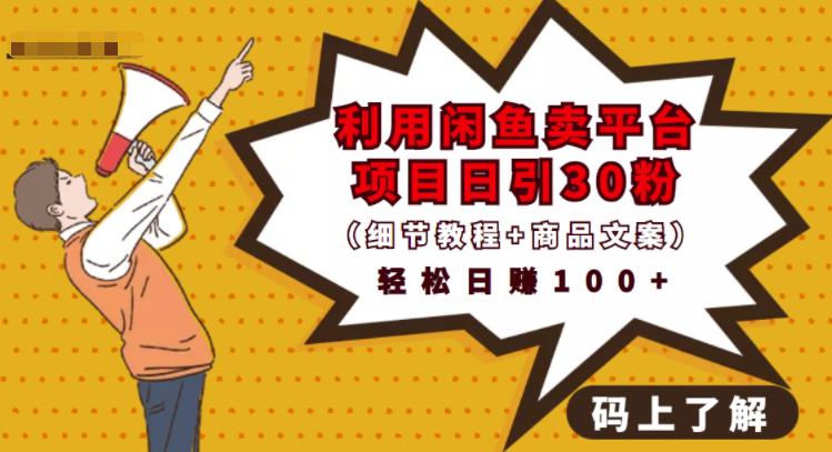 利用闲鱼卖平台项目课程资源日引流30+精准粉丝，轻松日赚100+，积累人脉可实现二次变现（细节教程+商品文案）去创吧-网创项目资源站-副业项目-创业项目-搞钱项目黑蛋搞钱