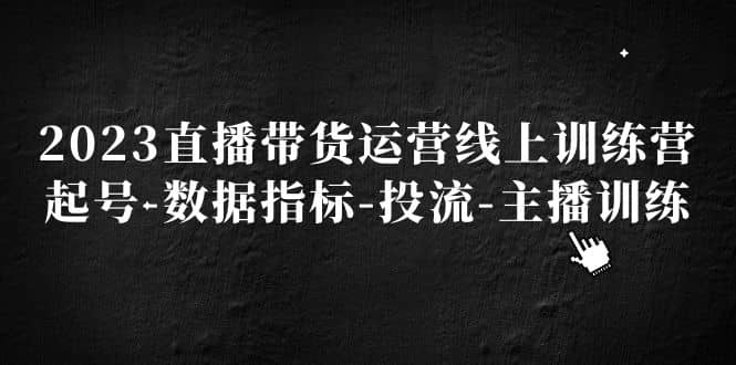2023直播带货运营线上训练营，起号-数据指标-投流-主播训练去创吧-网创项目资源站-副业项目-创业项目-搞钱项目黑蛋搞钱