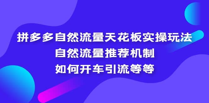 拼多多自然流量天花板实操玩法：自然流量推荐机制，如何开车引流等等去创吧-网创项目资源站-副业项目-创业项目-搞钱项目黑蛋搞钱