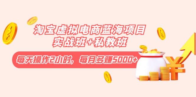 淘宝虚拟电商蓝海项目实战班+私教班去创吧-网创项目资源站-副业项目-创业项目-搞钱项目黑蛋搞钱