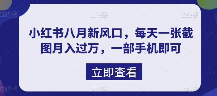 八月新风口，小红书虚拟项目一天收入1000+，实战揭秘去创吧-网创项目资源站-副业项目-创业项目-搞钱项目黑蛋搞钱