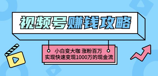 玩转微信视频号赚钱：小白变大咖涨粉百万实现快速变现1000万的现金流去创吧-网创项目资源站-副业项目-创业项目-搞钱项目黑蛋搞钱