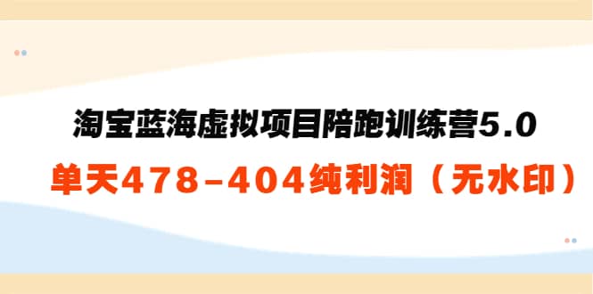 淘宝蓝海虚拟项目陪跑训练营5.0：单天478纯利润（无水印）去创吧-网创项目资源站-副业项目-创业项目-搞钱项目黑蛋搞钱