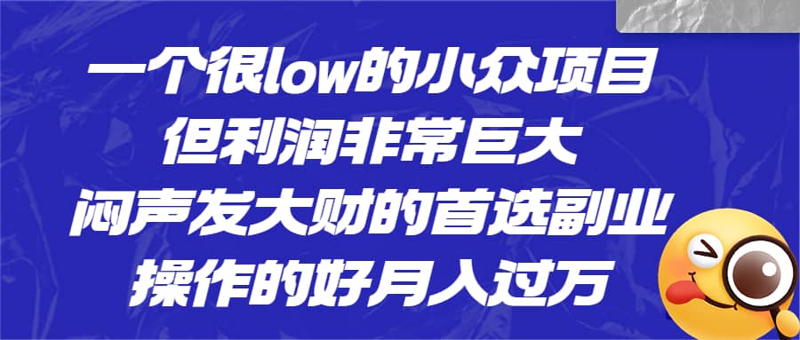 一个很low的小众项目，但利润非常巨大，闷声发大财的首选副业，月入过万去创吧-网创项目资源站-副业项目-创业项目-搞钱项目黑蛋搞钱