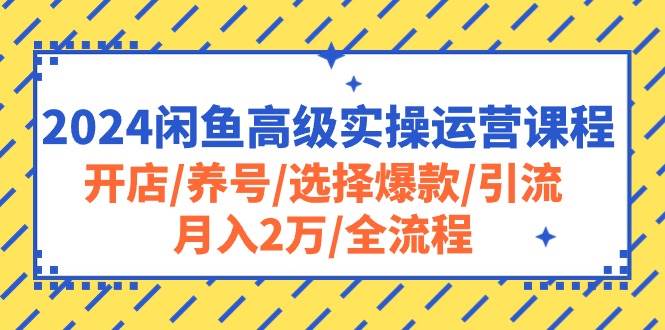 2024闲鱼高级实操运营课程：开店/养号/选择爆款/引流/月入2万/全流程去创吧-网创项目资源站-副业项目-创业项目-搞钱项目黑蛋搞钱
