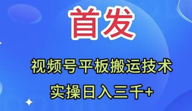 全网首发：视频号平板搬运技术，实操日入三千＋去创吧-网创项目资源站-副业项目-创业项目-搞钱项目黑蛋搞钱