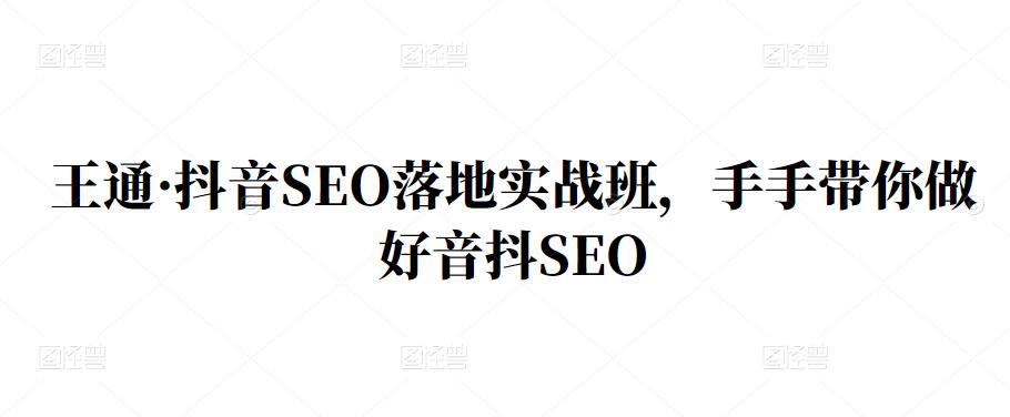 王通·抖音SEO落地实战班，手‬手带你做好音抖‬‬SEO去创吧-网创项目资源站-副业项目-创业项目-搞钱项目黑蛋搞钱