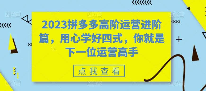 2023拼多多高阶运营进阶篇，用心学好四式，你就是下一位运营高手去创吧-网创项目资源站-副业项目-创业项目-搞钱项目黑蛋搞钱