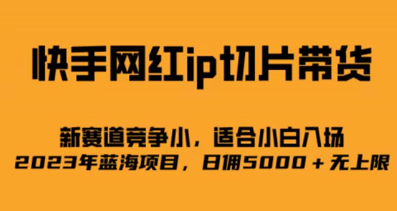 快手网红ip切片新赛道，竞争小事，适合小白 2023蓝海项目去创吧-网创项目资源站-副业项目-创业项目-搞钱项目黑蛋搞钱