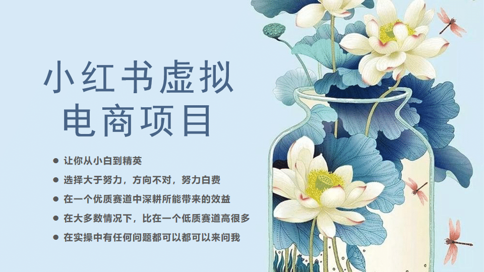 小红书虚拟电商从0到1，让你从小白到精英（20节实操课程）去创吧-网创项目资源站-副业项目-创业项目-搞钱项目黑蛋搞钱