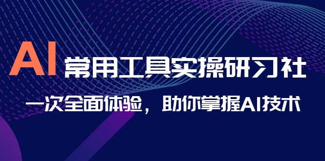 AI-常用工具实操研习社，一次全面体验，助你掌握AI技术去创吧-网创项目资源站-副业项目-创业项目-搞钱项目黑蛋搞钱