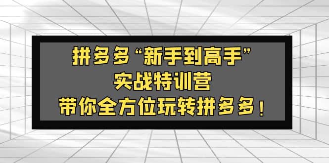 拼多多“新手到高手”实战特训营：带你全方位玩转拼多多去创吧-网创项目资源站-副业项目-创业项目-搞钱项目黑蛋搞钱
