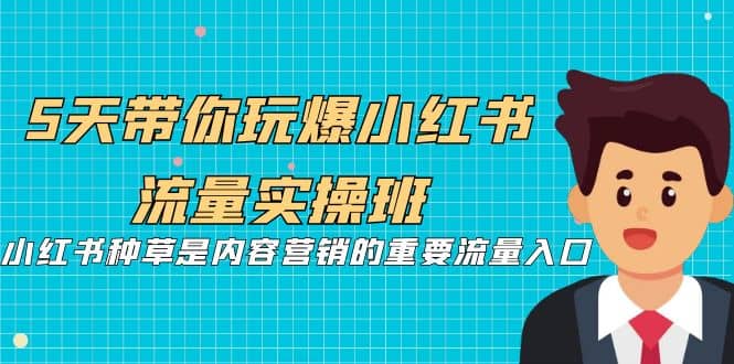 5天带你玩爆小红书流量实操班，小红书种草是内容营销的重要流量入口去创吧-网创项目资源站-副业项目-创业项目-搞钱项目黑蛋搞钱