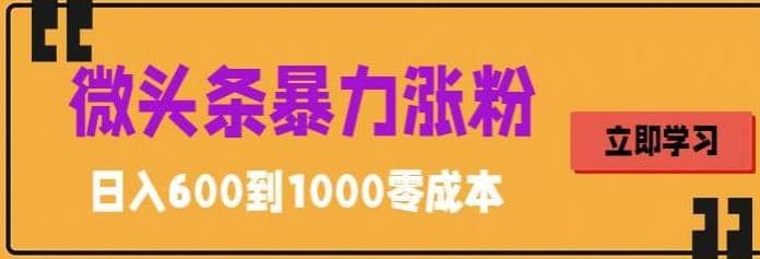 微头条暴力涨粉技巧搬运文案就能涨几万粉丝，简单0成本，日赚600去创吧-网创项目资源站-副业项目-创业项目-搞钱项目黑蛋搞钱