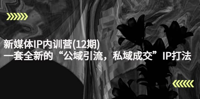 新媒体IP内训营(12期)，一套全新的“公域引流，私域成交”IP打法，直接带走去创吧-网创项目资源站-副业项目-创业项目-搞钱项目黑蛋搞钱