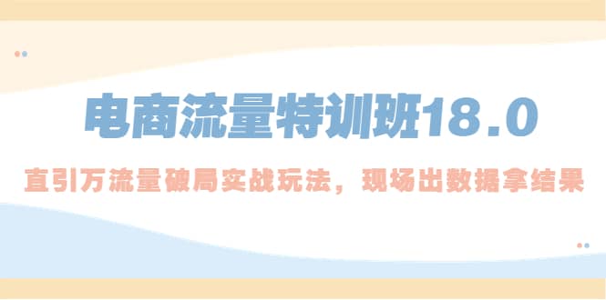 电商流量特训班18.0，直引万流量破局实操玩法，现场出数据拿结果去创吧-网创项目资源站-副业项目-创业项目-搞钱项目黑蛋搞钱
