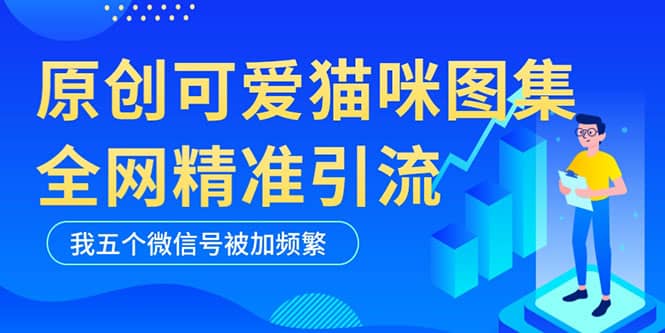 黑科技纯原创可爱猫咪图片，全网精准引流，实操5个VX号被加频繁去创吧-网创项目资源站-副业项目-创业项目-搞钱项目黑蛋搞钱
