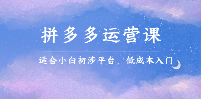 拼多多运营课，适合小白初涉平台，低成本入门去创吧-网创项目资源站-副业项目-创业项目-搞钱项目黑蛋搞钱