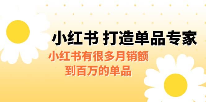 某公众号付费文章《小红书 打造单品专家》小红书有很多月销额到百万的单品去创吧-网创项目资源站-副业项目-创业项目-搞钱项目黑蛋搞钱