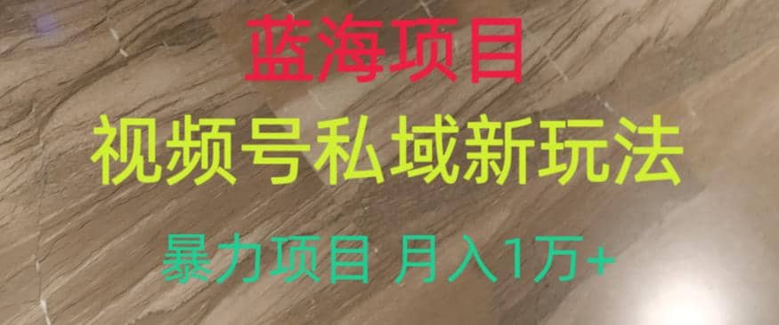 蓝海项目，视频号私域新玩法，暴力项目月入1万+【揭秘】去创吧-网创项目资源站-副业项目-创业项目-搞钱项目黑蛋搞钱