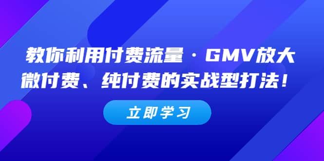 教你利用付费流量·GMV放大，微付费、纯付费的实战型打法去创吧-网创项目资源站-副业项目-创业项目-搞钱项目黑蛋搞钱