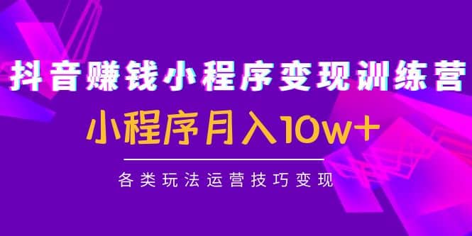 抖音小程序变现训练营：小程序各类玩法运营技巧变现去创吧-网创项目资源站-副业项目-创业项目-搞钱项目黑蛋搞钱
