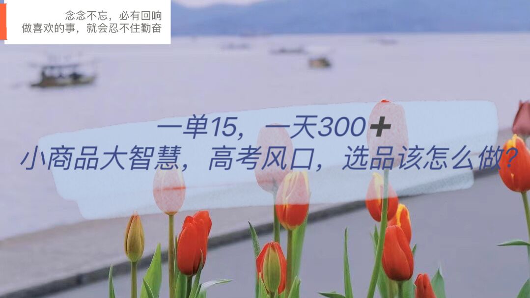 一单15，一天300+，小商品大智慧，高考风口，选品该怎么布局去创吧-网创项目资源站-副业项目-创业项目-搞钱项目黑蛋搞钱