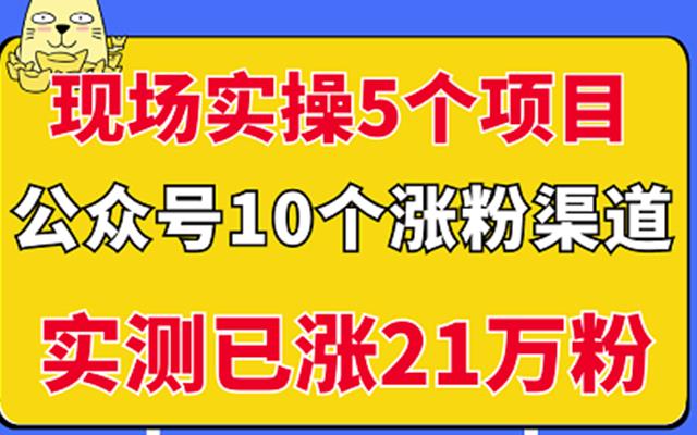 现场实操5个公众号项目，10个涨粉渠道，实测已涨21万粉！去创吧-网创项目资源站-副业项目-创业项目-搞钱项目黑蛋搞钱