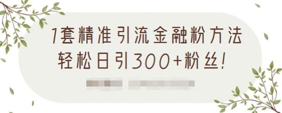 1套精准引流金融粉方法，轻松日引300+粉丝【视频课程】去创吧-网创项目资源站-副业项目-创业项目-搞钱项目黑蛋搞钱