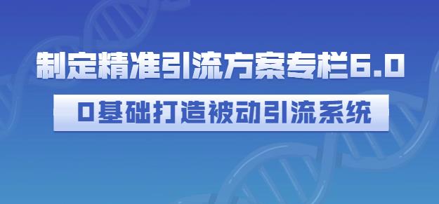 制定精准引流方案专栏6.0，0基础打造被动引流系统去创吧-网创项目资源站-副业项目-创业项目-搞钱项目黑蛋搞钱