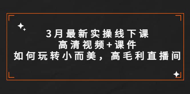 3月最新实操线下课高清视频+课件，如何玩转小而美，高毛利直播间去创吧-网创项目资源站-副业项目-创业项目-搞钱项目黑蛋搞钱