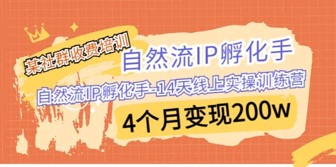 某社群收费培训：自然流IP 孵化手-14天线上实操训练营 4个月变现200w去创吧-网创项目资源站-副业项目-创业项目-搞钱项目黑蛋搞钱