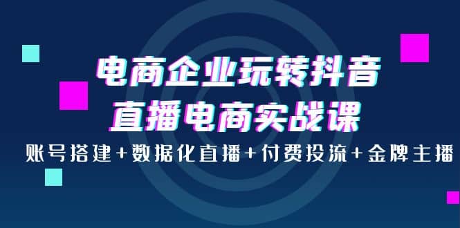 电商企业玩转抖音直播电商实战课：账号搭建+数据化直播+付费投流+金牌主播去创吧-网创项目资源站-副业项目-创业项目-搞钱项目黑蛋搞钱