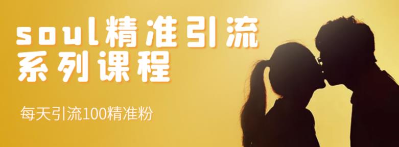 soul精准引流系列课程，每天引流100精准粉去创吧-网创项目资源站-副业项目-创业项目-搞钱项目黑蛋搞钱