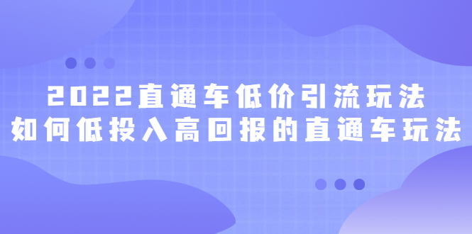 2022直通车低价引流玩法，教大家如何低投入高回报的直通车玩法去创吧-网创项目资源站-副业项目-创业项目-搞钱项目黑蛋搞钱