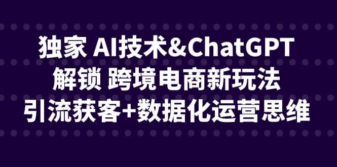 独家 AI技术ChatGPT解锁 跨境电商新玩法，引流获客+数据化运营思维去创吧-网创项目资源站-副业项目-创业项目-搞钱项目黑蛋搞钱
