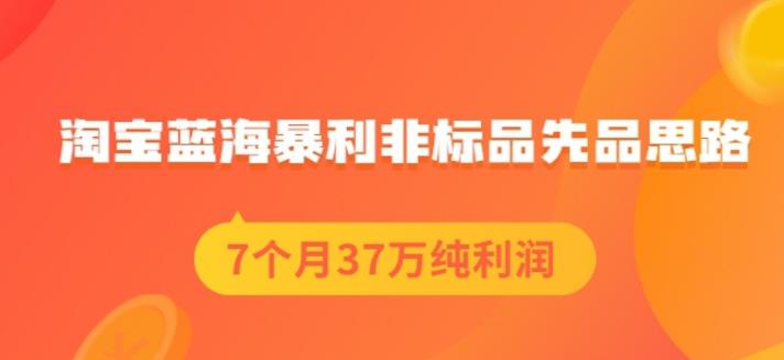 盗坤淘宝蓝海暴利非标品先品思路，7个月37万纯利润，压箱干货分享！【付费文章】去创吧-网创项目资源站-副业项目-创业项目-搞钱项目黑蛋搞钱