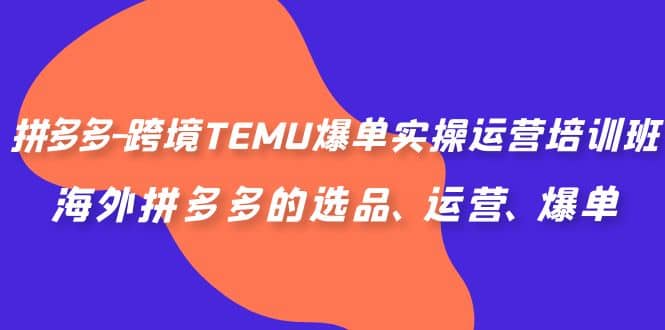 拼多多-跨境TEMU爆单实操运营培训班，海外拼多多的选品、运营、爆单去创吧-网创项目资源站-副业项目-创业项目-搞钱项目黑蛋搞钱