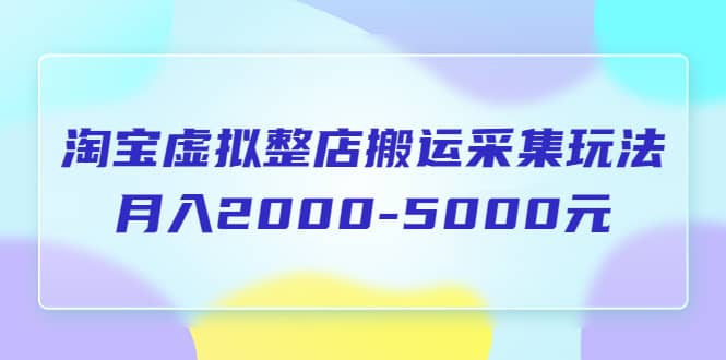 淘宝虚拟整店搬运采集玩法分享课：月入2000-5000元（5节课）去创吧-网创项目资源站-副业项目-创业项目-搞钱项目黑蛋搞钱