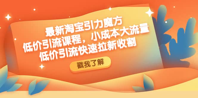 最新淘宝引力魔方低价引流实操：小成本大流量去创吧-网创项目资源站-副业项目-创业项目-搞钱项目黑蛋搞钱